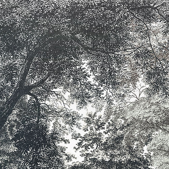 Komar | Vlies Fototapete | Fairytale Forest | Größe 400 x 280 cm —
